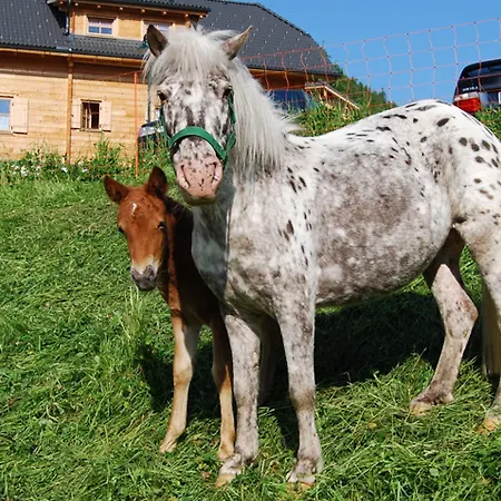 Almdorf Reiteralm Gleiming