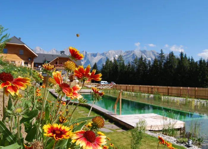 Almdorf Reiteralm 4* Gleiming