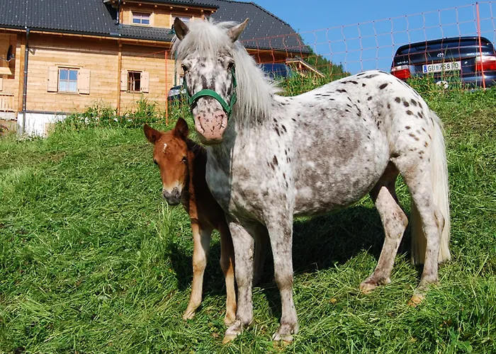 Almdorf Reiteralm Gleiming