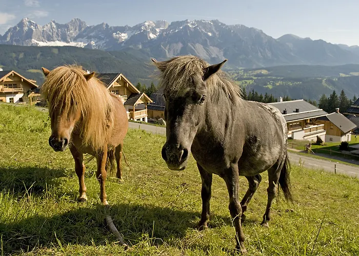 Hotel Almdorf Reiteralm 4*